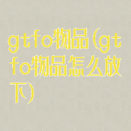 gtfo物品(gtfo物品怎么放下)