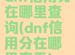 dnf信用分在哪里查询(dnf信用分在哪里查看)