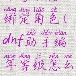 dnf助手编年等级怎么绑定角色(dnf助手编年等级怎么绑定角色的)