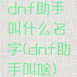 dnf助手叫什么名字(dnf助手叫啥)