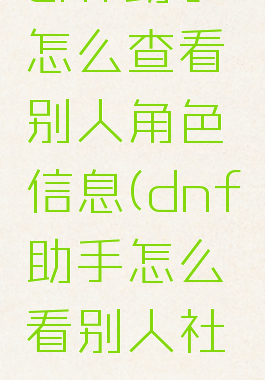 dnf助手怎么查看别人角色信息(dnf助手怎么看别人社区id)