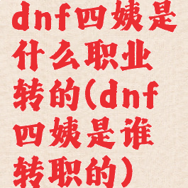 dnf四姨是什么职业转的(dnf四姨是谁转职的)