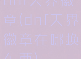 dnf天界徽章(dnf天界徽章在哪换东西)