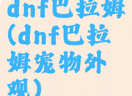 dnf巴拉姆(dnf巴拉姆宠物外观)