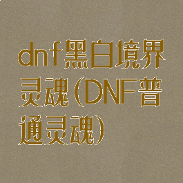 dnf黑白境界灵魂(DNF普通灵魂)