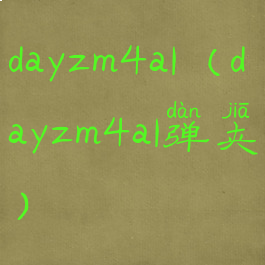 dayzm4a1(dayzm4a1弹夹)
