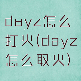 dayz怎么打火(dayz怎么取火)