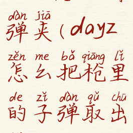 dayz怎么拆弹夹(dayz怎么把枪里的子弹取出来)