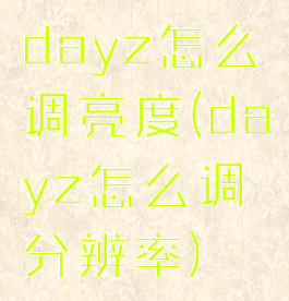 dayz怎么调亮度(dayz怎么调分辨率)