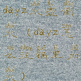 dayz水壶倒水(dayz怎么往锅里加水)