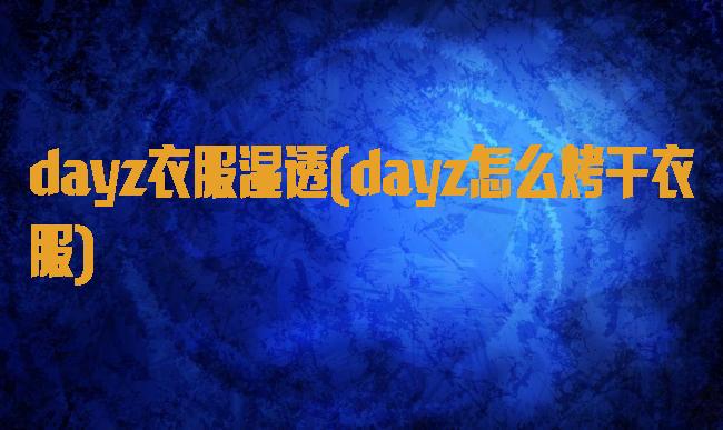 dayz衣服湿透(dayz怎么烤干衣服)