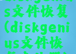 diskgenius文件恢复(diskgenius文件恢复未注册)