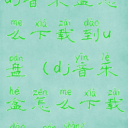 dj音乐盒怎么下载到u盘(dj音乐盒怎么下载到u盘上)