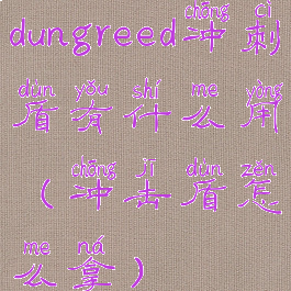 dungreed冲刺盾有什么用(冲击盾怎么拿)