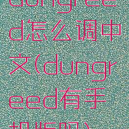 dungreed怎么调中文(dungreed有手机版吗)