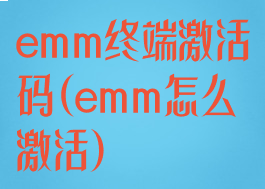 emm终端激活码(emm怎么激活)