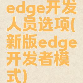 edge开发人员选项(新版edge开发者模式)