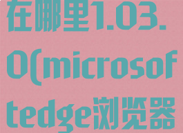 edge浏览器internet选项在哪里1.03.0(microsoftedge浏览器internet选项在哪)