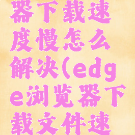 edge浏览器下载速度慢怎么解决(edge浏览器下载文件速度慢)
