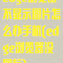 edge浏览器不显示图片怎么办手机(edge浏览器没图标)