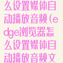 edge浏览器怎么设置媒体自动播放音频(edge浏览器怎么设置媒体自动播放音频文件)