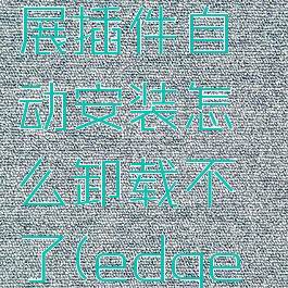 edge浏览器恶意拓展插件自动安装怎么卸载不了(edge浏览器扩展出错了)