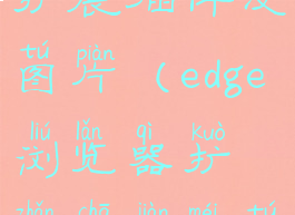 edge浏览器扩展插件没图片(edge浏览器扩展插件没图片怎么办)