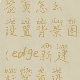 edge新建标签页怎么设置背景图(edge新建标签页设置为主页)