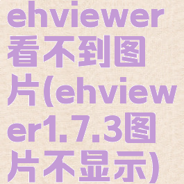 ehviewer看不到图片(ehviewer1.7.3图片不显示)