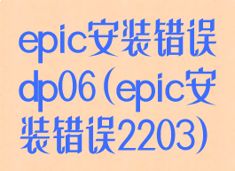 epic安装错误dp06(epic安装错误2203)