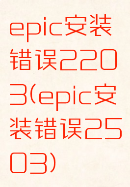 epic安装错误2203(epic安装错误2503)