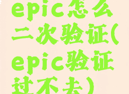 epic怎么二次验证(epic验证过不去)