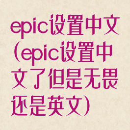 epic设置中文(epic设置中文了但是无畏还是英文)