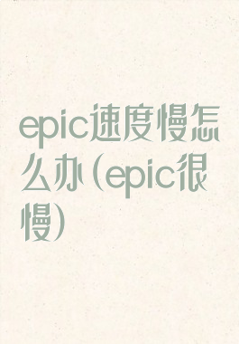 epic速度慢怎么办(epic很慢)