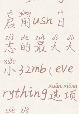 everything启用usn日志的最大大小32mb(everything选项设置)