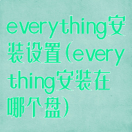 everything安装设置(everything安装在哪个盘)