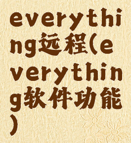 everything远程(everything软件功能)