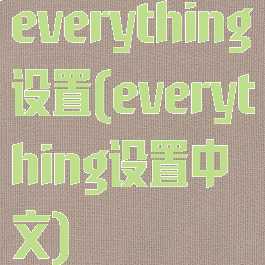 everything设置(everything设置中文)