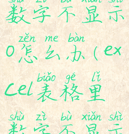 excel表格数字不显示0怎么办(excel表格里数字不显示怎么办)