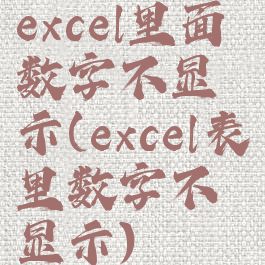 excel里面数字不显示(excel表里数字不显示)