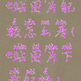 e站图片配额怎么看(e站图片下载配额)