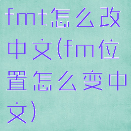 fmt怎么改中文(fm位置怎么变中文)