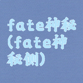 fate神秘(fate神秘侧)