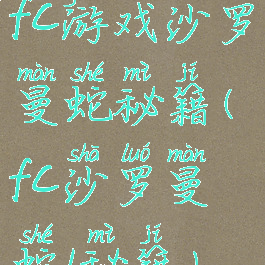 fc游戏沙罗曼蛇秘籍(fc沙罗曼蛇1秘籍)