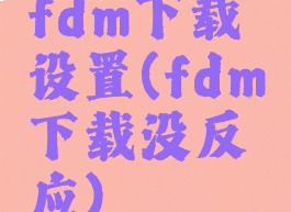 fdm下载设置(fdm下载没反应)