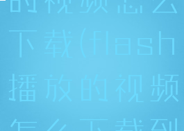 flash播放的视频怎么下载(flash播放的视频怎么下载到本地)