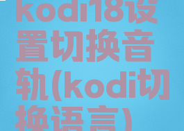 kodi18设置切换音轨(kodi切换语言)