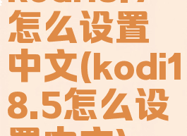 kodi18.7怎么设置中文(kodi18.5怎么设置中文)