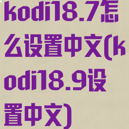 kodi18.7怎么设置中文(kodi18.9设置中文)