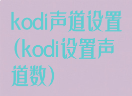 kodi声道设置(kodi设置声道数)